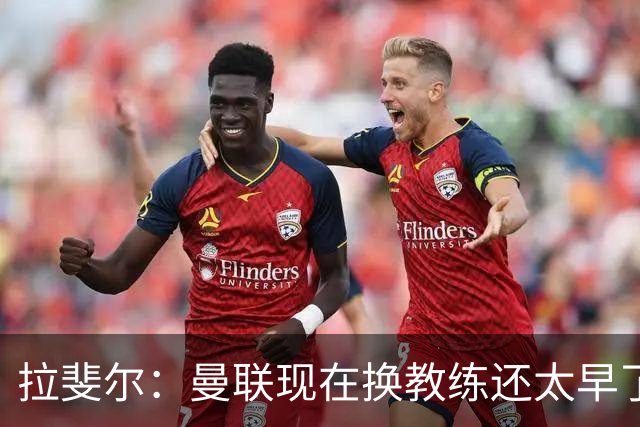 拉斐尔：曼联现在换教练还太早了；看到球队现在的处境很难过