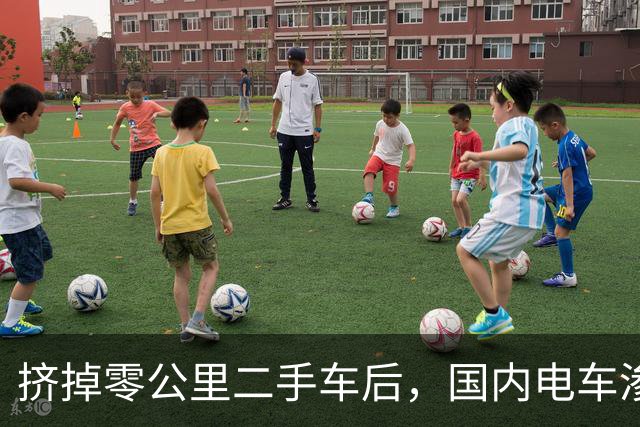 挤掉零公里二手车后，国内电车渗透率大幅下降