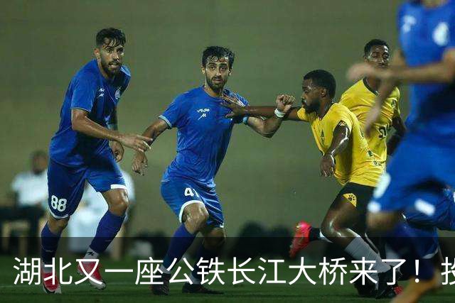 湖北又一座公铁长江大桥来了！投资‌116亿元‌，路线长‌9.7公里